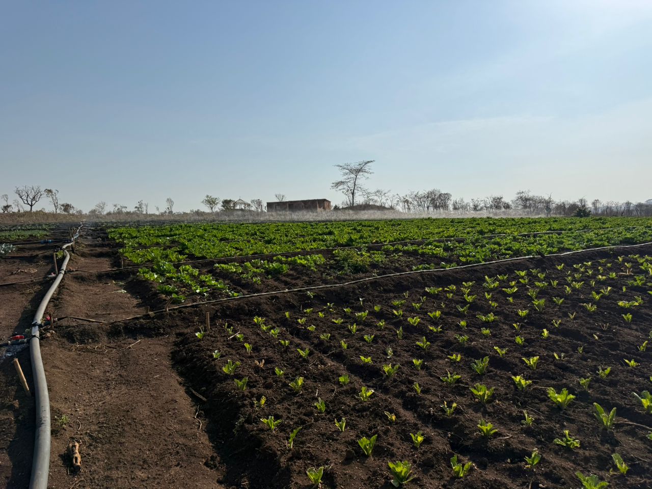 AGRISMART Irrigation